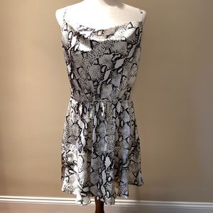 Charlotte Russe Dress NWT 👗